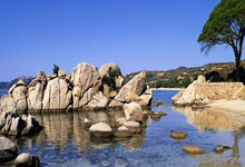 天涯神贴精品排行榜